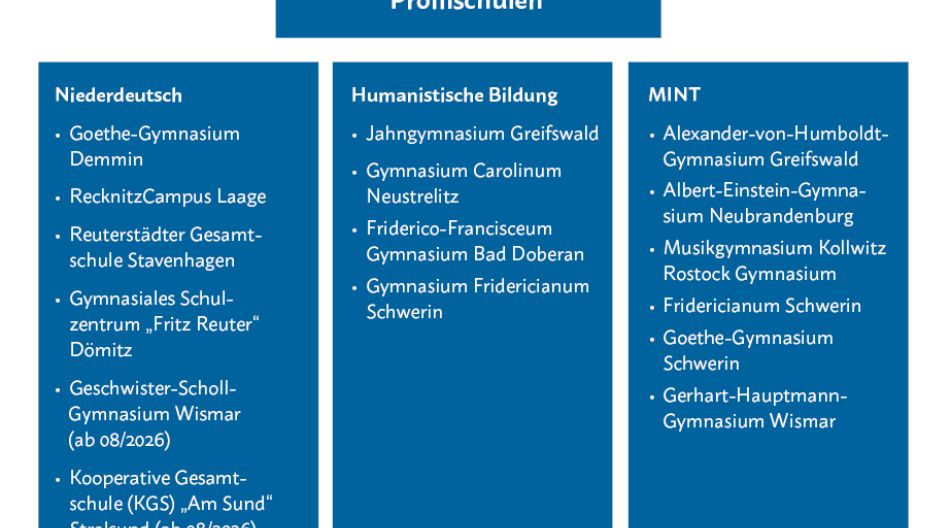 Grafik zu den Profilschulen des Landes MV